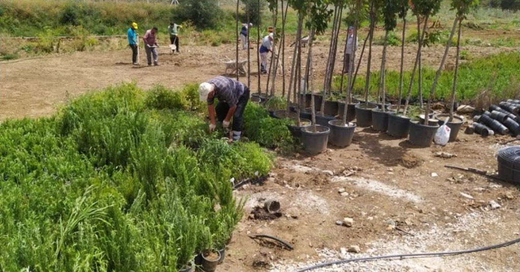 Mamak’ın Tarım Cenneti: Ekolojik Vadi