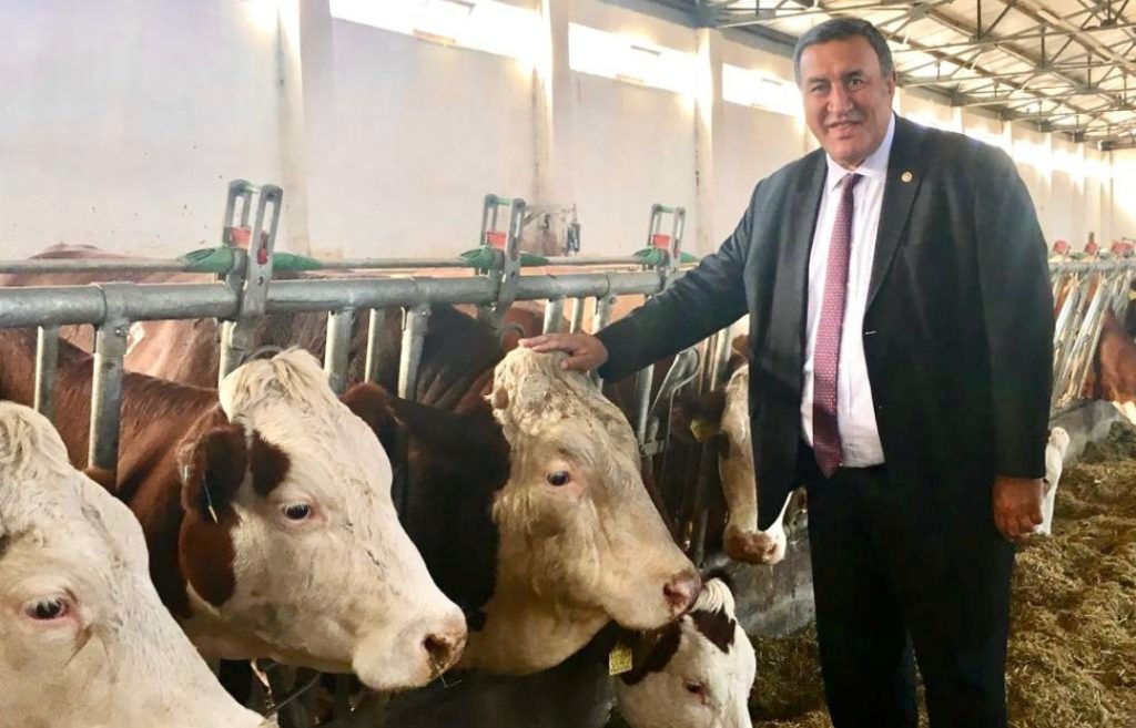 Gürer: Yem fiyatlar artıkça hayvancılık bitiyor
