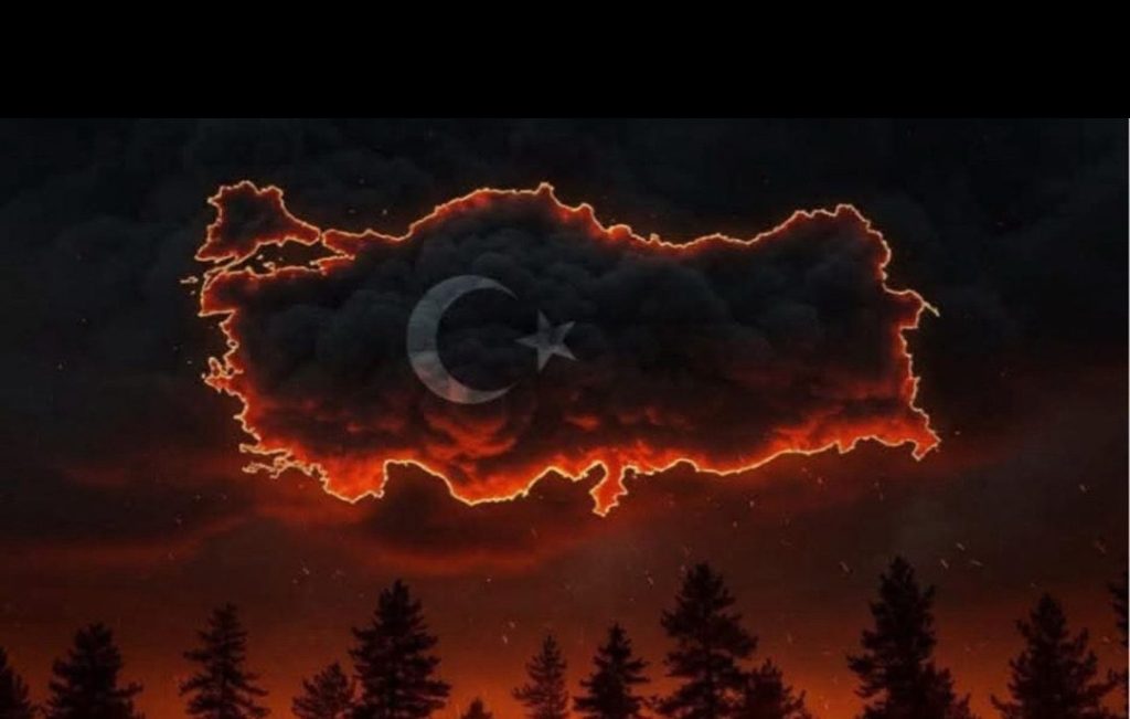 Ormanlar İçin Seferberlik Çağrısı: “Senin de Bir Dikili Ağacın Olsun!”